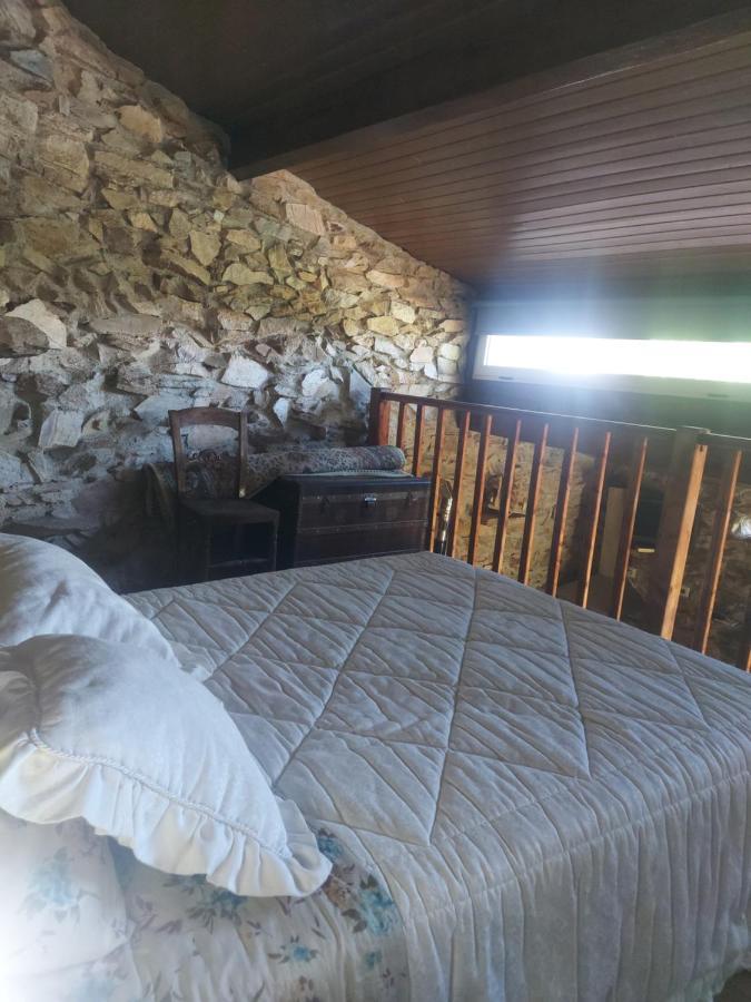 D. Mariantonia Complexo Turistico Villa Bragança Eksteriør bilde